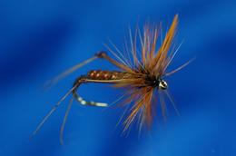 Daddy Longlegs
